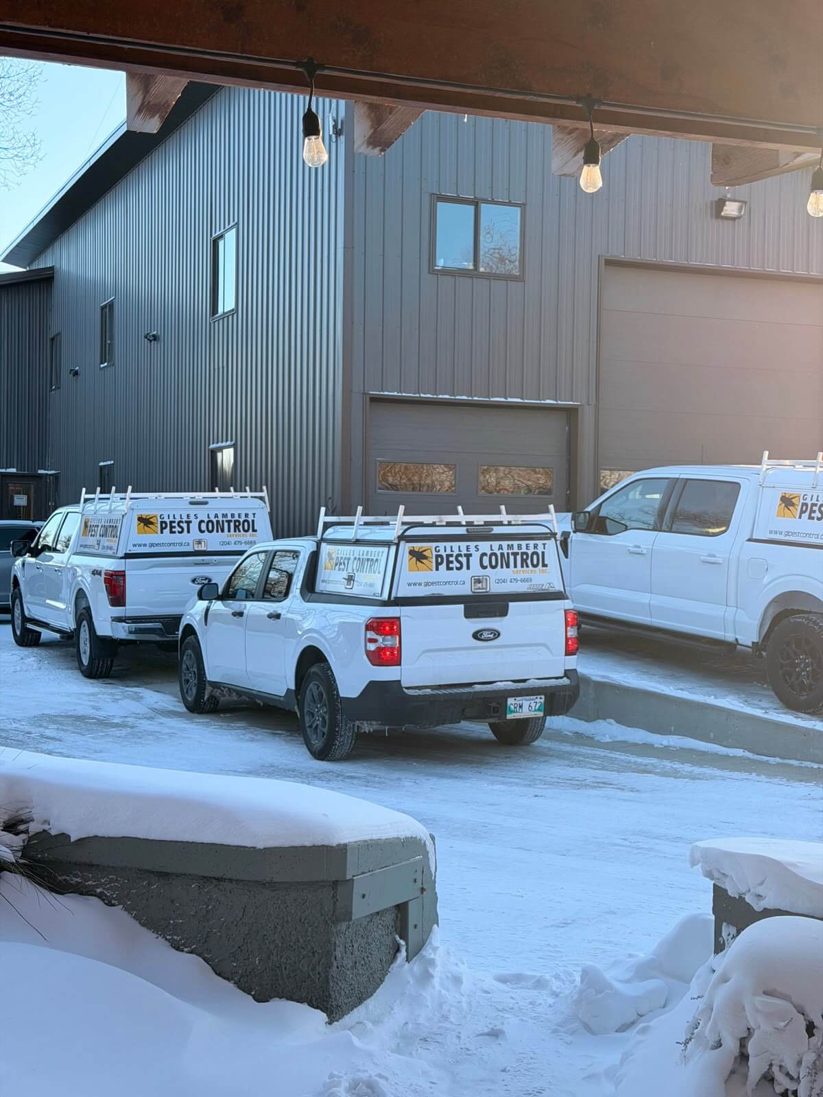GL Pest Control Winnipeg